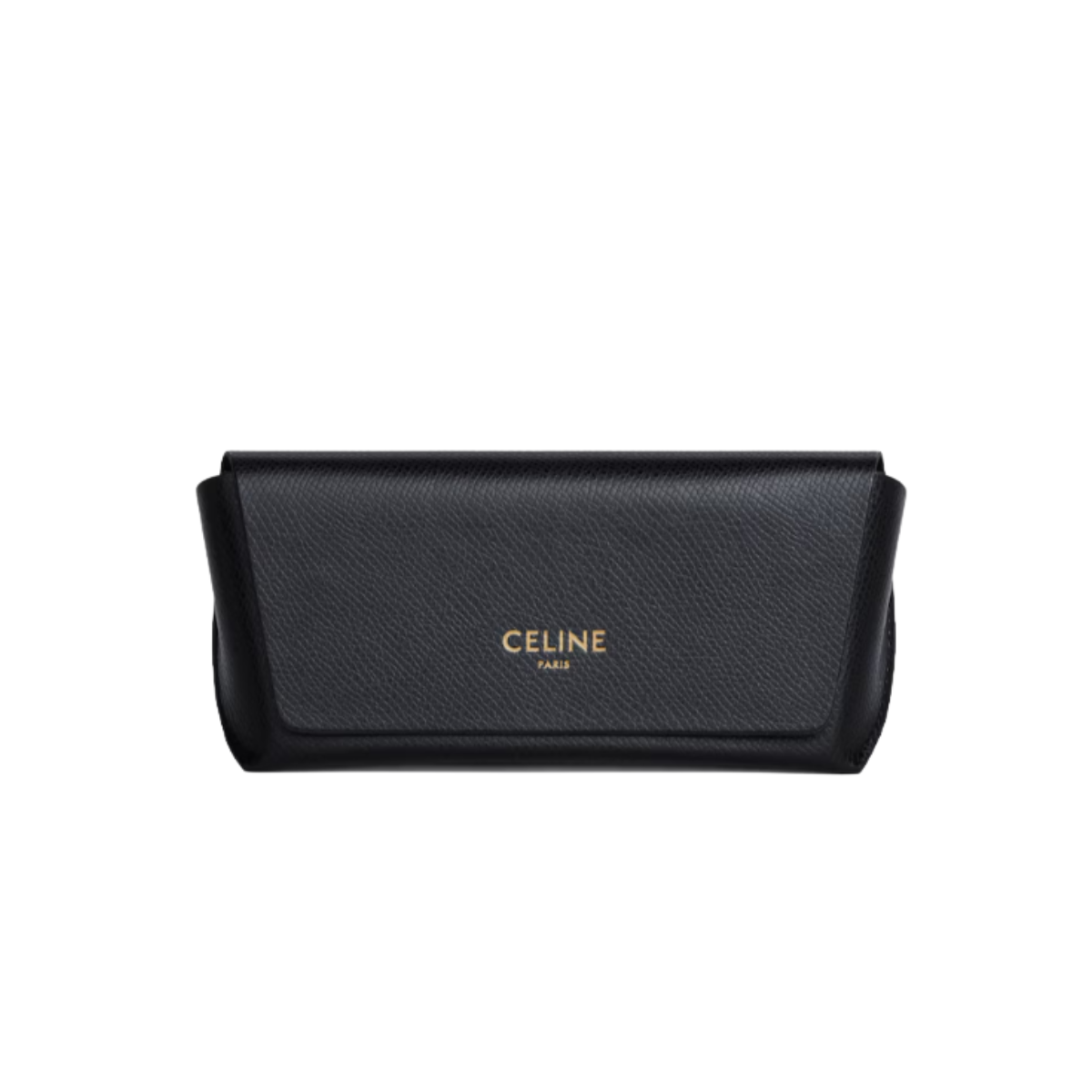 Celine Triomphe 01 sunglasses in Acetate