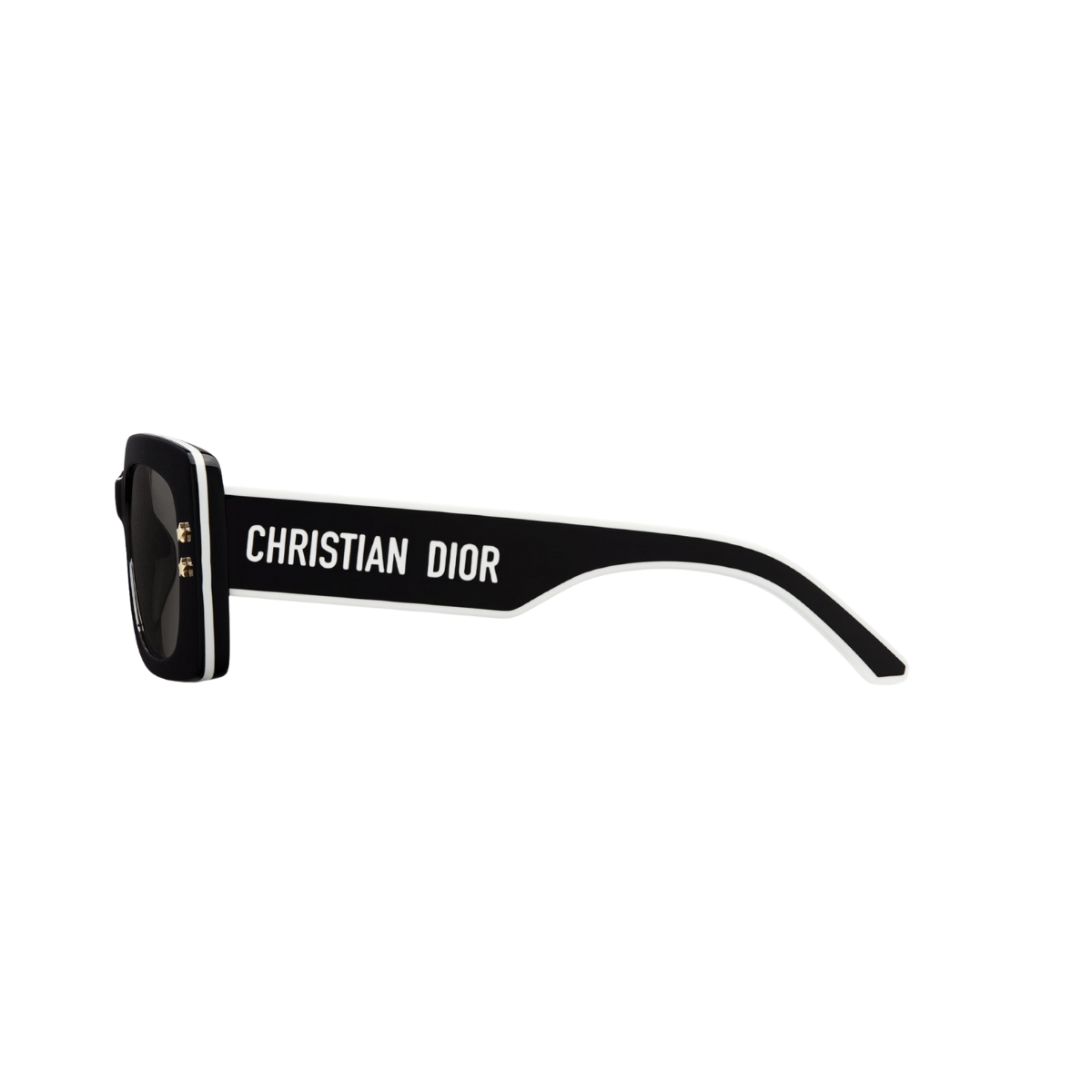Dior DiorPacific S1U