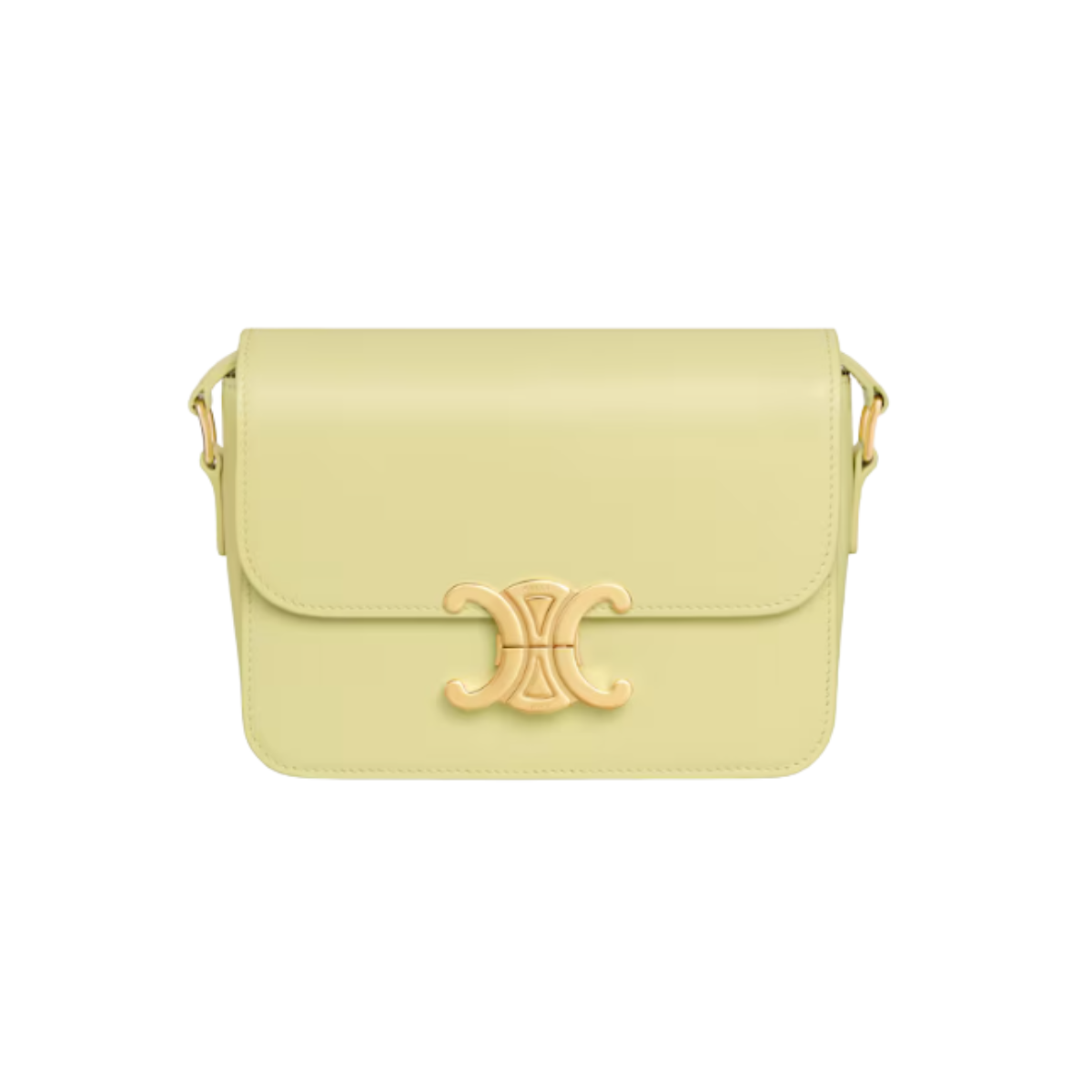 Celine  Teen Triomphe Bag in Shiny calfskin