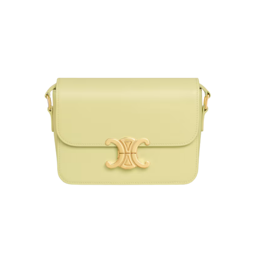 Celine  Teen Triomphe Bag in Shiny calfskin