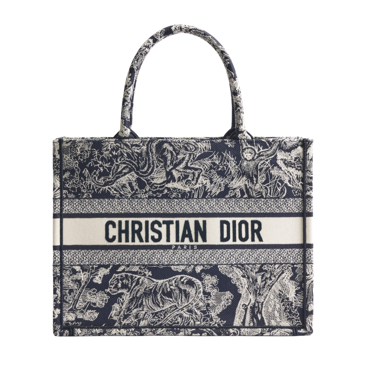 Dior Medium Dior Book Tote
