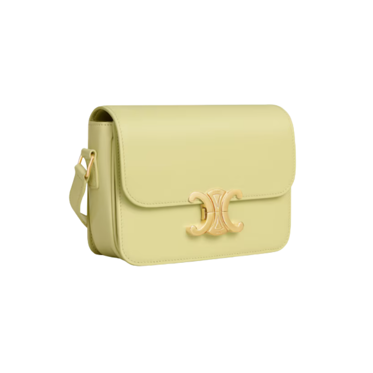 Celine  Teen Triomphe Bag in Shiny calfskin