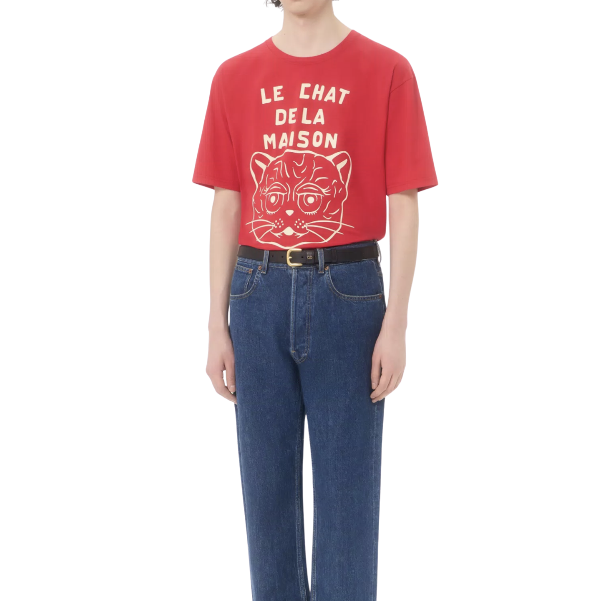 Valentino Garavani Cotton T-Shirt With Le Chat De La Maison Print