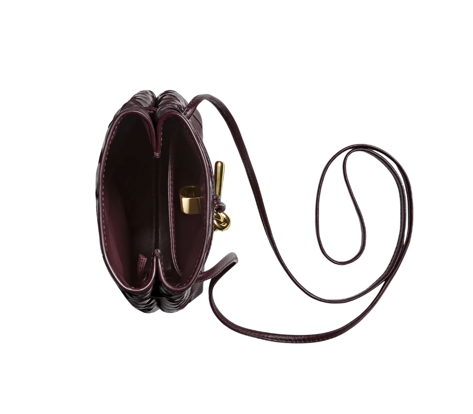 Bottega Veneta Andiamo Phone Pouch