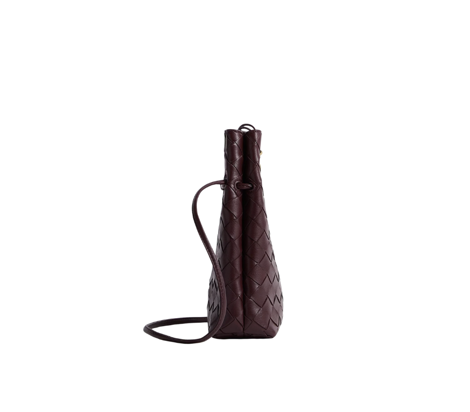 Bottega Veneta Andiamo Phone Pouch