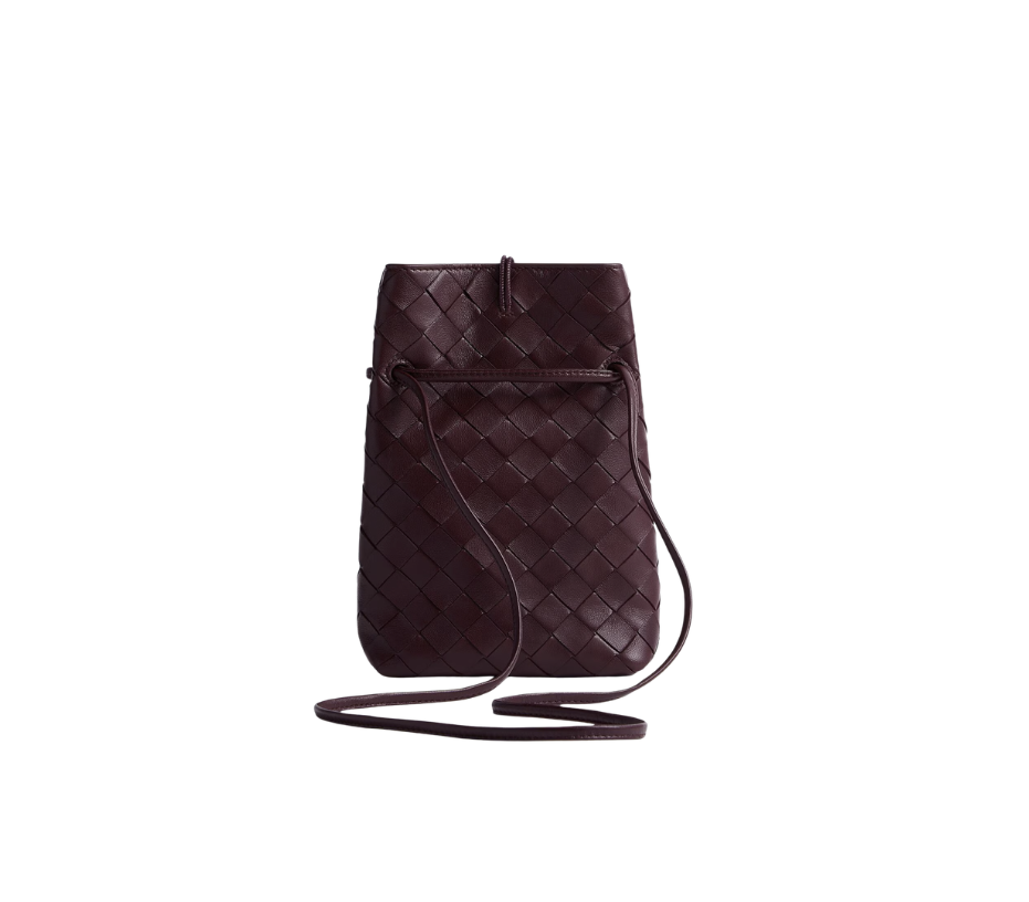 Bottega Veneta Andiamo Phone Pouch