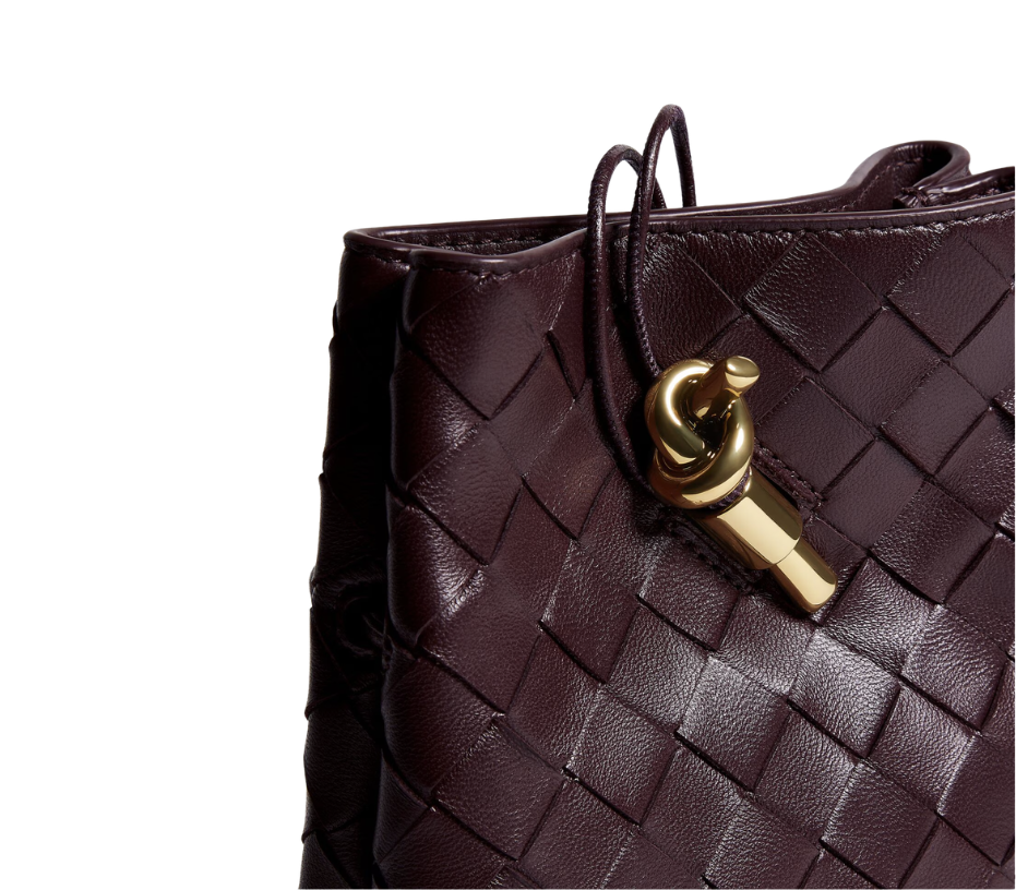 Bottega Veneta Andiamo Phone Pouch