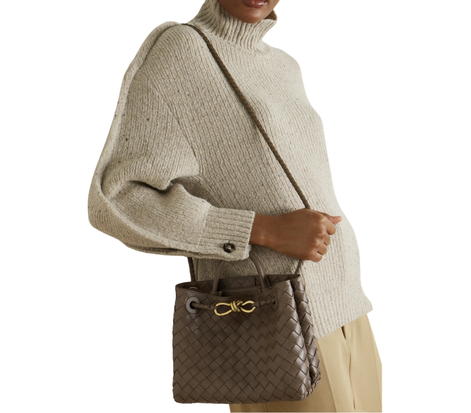 Bottega Veneta Andiamo Small