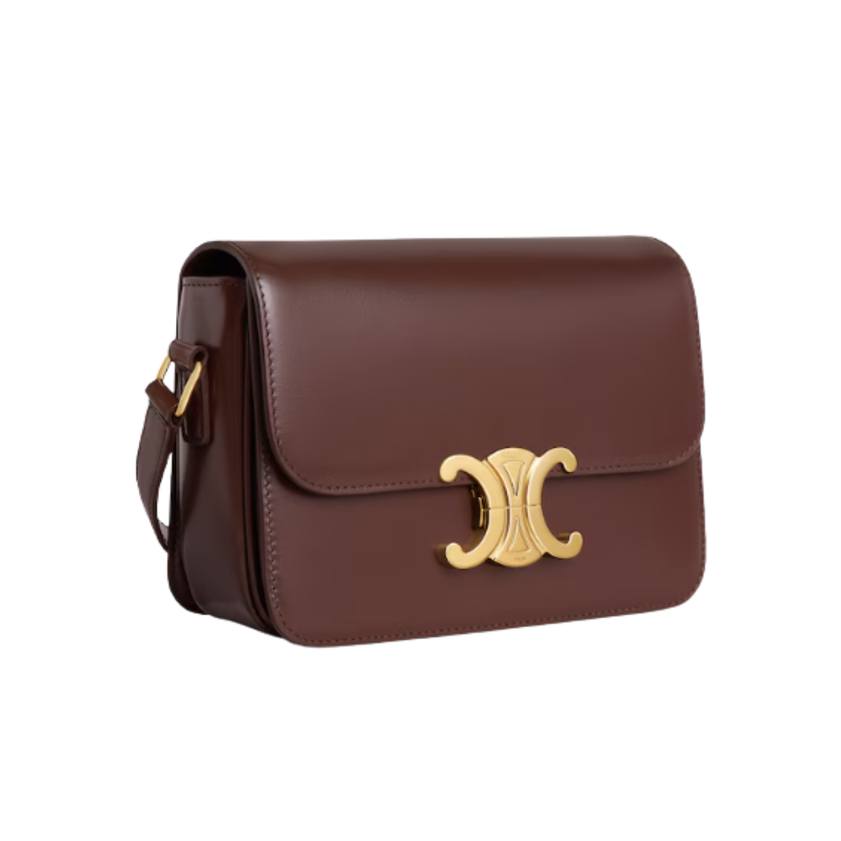 Celine TEEN TRIOMPHE BAG IN shiny calfskin