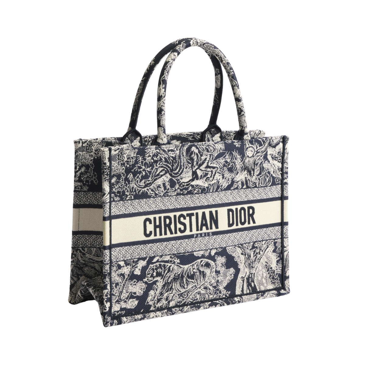 Dior Medium Dior Book Tote
