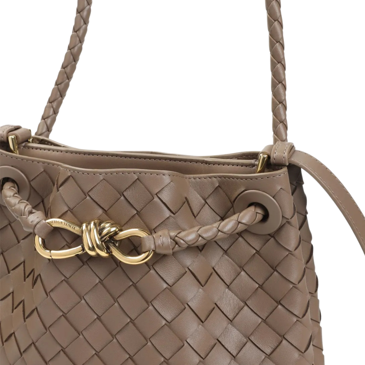 Bottega Veneta Small Andiamo Bucket
