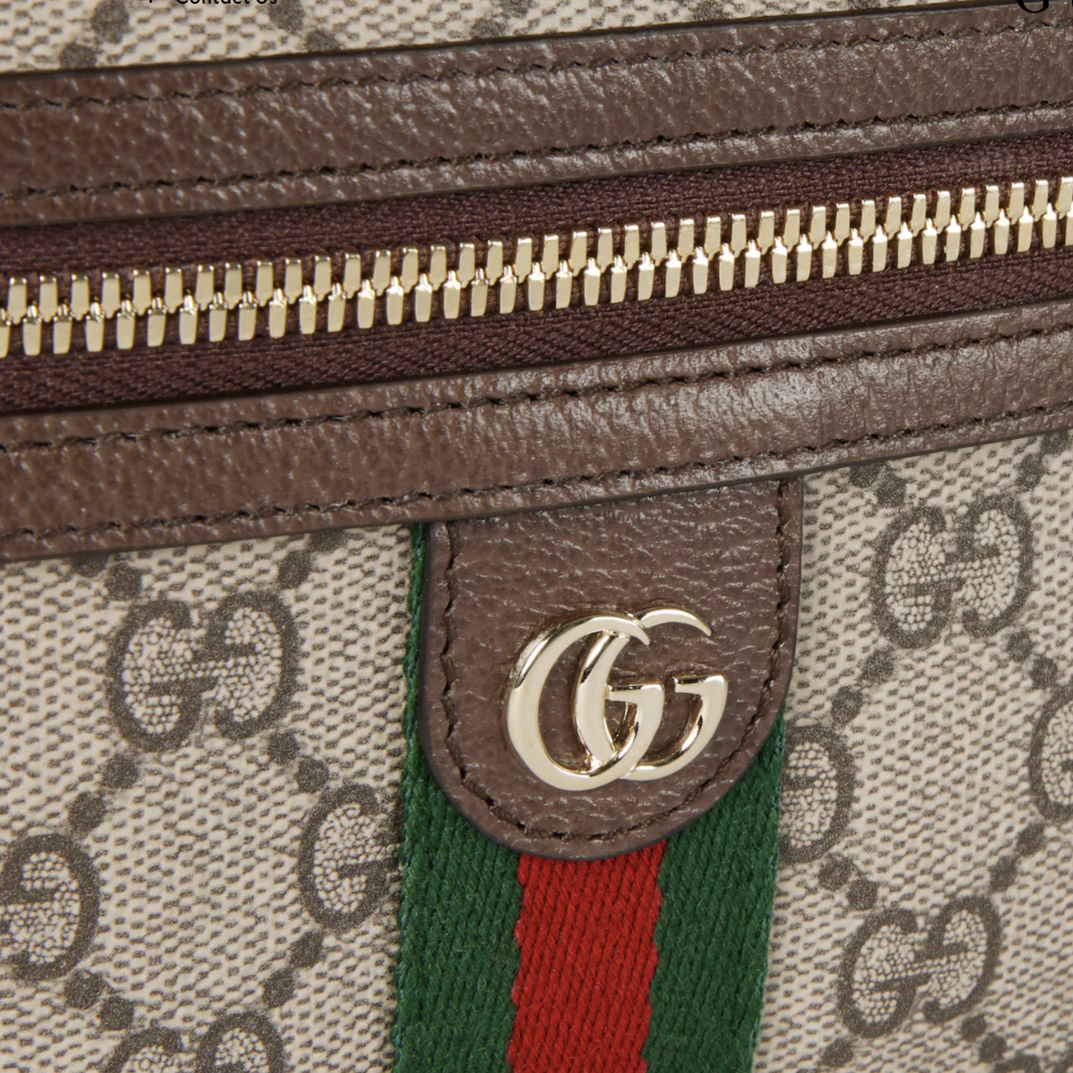 Gucci Ophidia small vanity bag