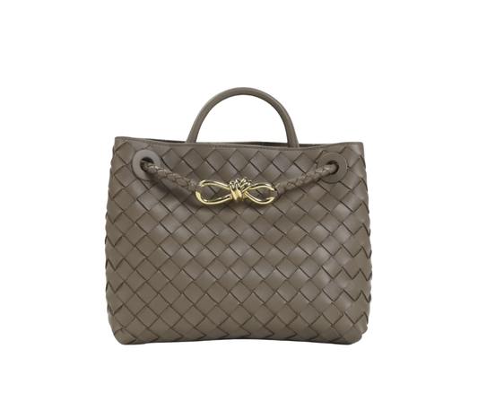 Bottega Veneta Andiamo Small