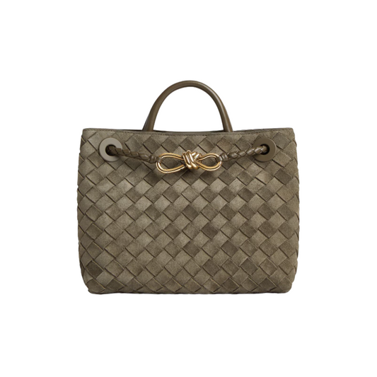 Bottega Veneta Small Andiamo Suede