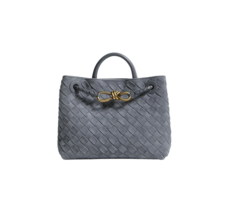 Bottega Veneta Small Andiamo